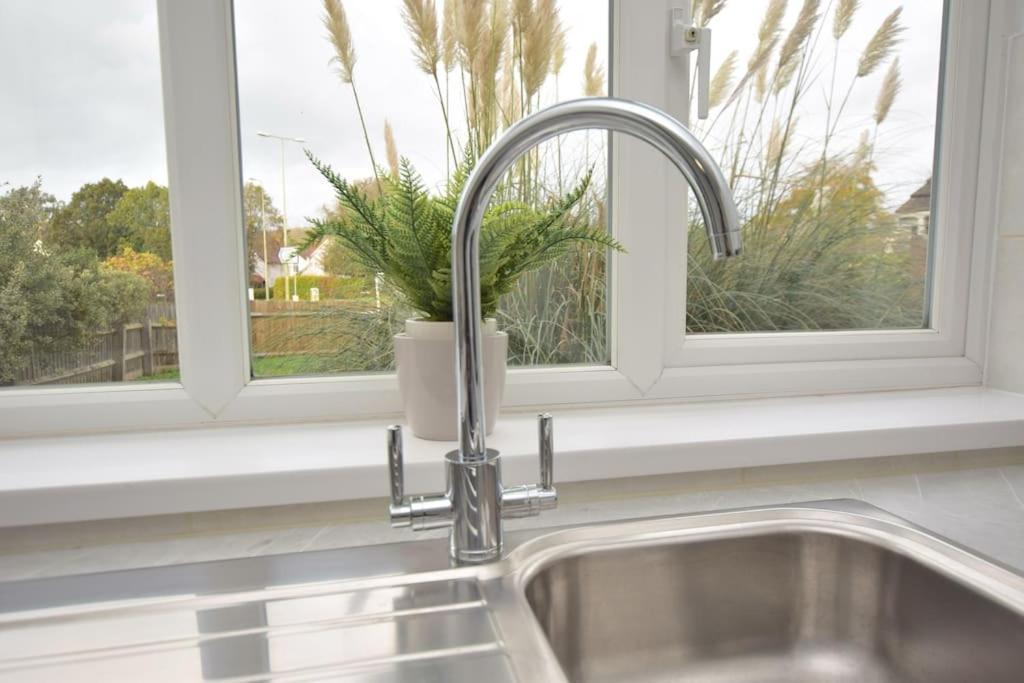 Luxury Central Oxford Detached Home מראה חיצוני תמונה